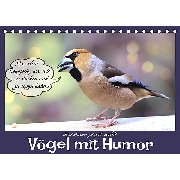 Vögel mit Humor (Tischkalender 2023 DIN A5 quer), Sabine Löwer