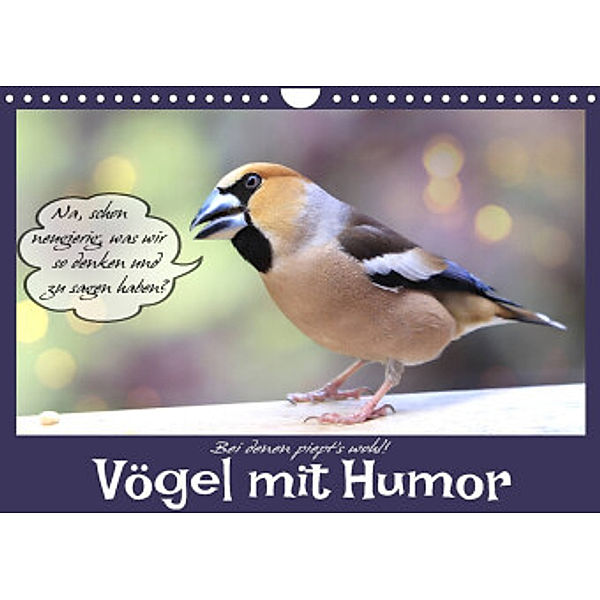 Vögel mit Humor (Wandkalender 2022 DIN A4 quer), Sabine Löwer