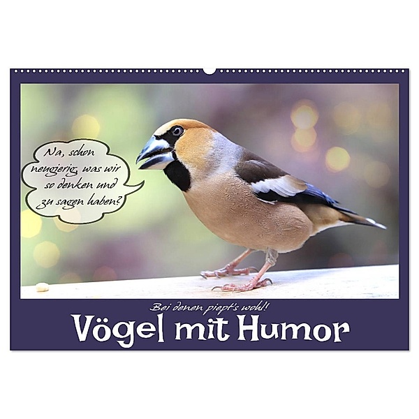 Vögel mit Humor (Wandkalender 2024 DIN A2 quer), CALVENDO Monatskalender, Sabine Löwer