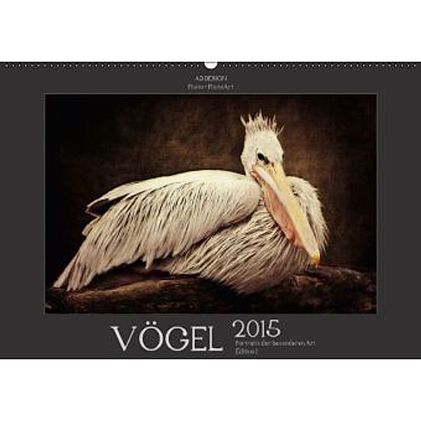 VÖGEL - Portraits der besonderen Art / Edition 1 (Wandkalender 2015 DIN A2 quer), Angela Dölling