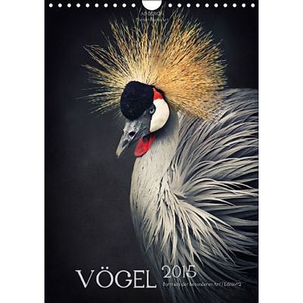 VÖGEL - Portraits der besonderen Art / Edition 2 (Wandkalender 2015 DIN A4 hoch), Angela Dölling