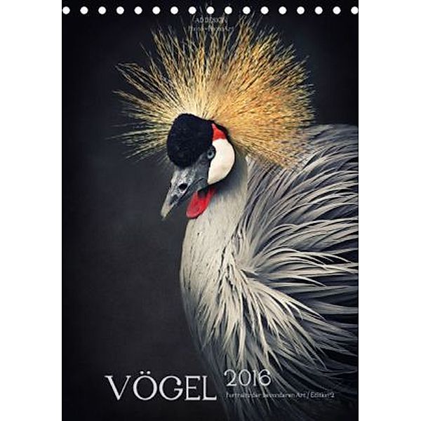VÖGEL - Portraits der besonderen Art / Edition 2 (Tischkalender 2016 DIN A5 hoch), Angela Dölling