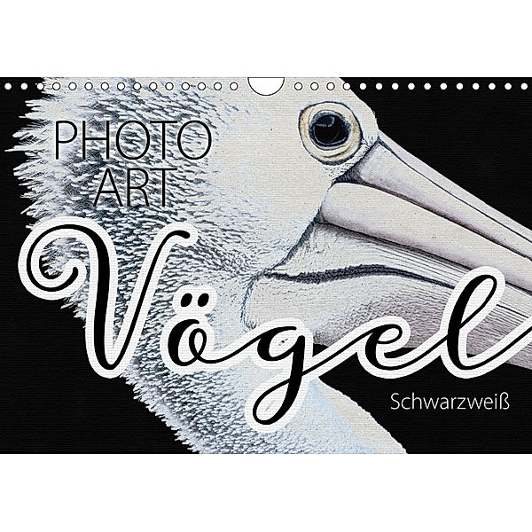 Vögel Schwarzweiß Photo Art (Wandkalender 2019 DIN A4 quer), Susanne Sachers