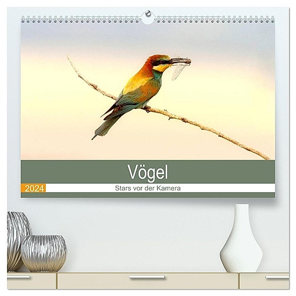 Vögel Stars vor der Kamera (hochwertiger Premium Wandkalender 2024 DIN A2 quer), Kunstdruck in Hochglanz, J R Bogner