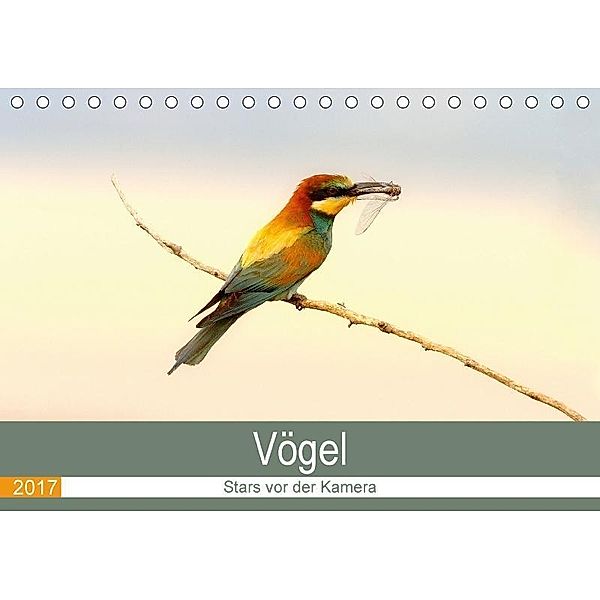 Vögel Stars vor der Kamera (Tischkalender 2017 DIN A5 quer), J R Bogner