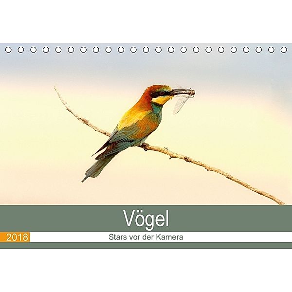 Vögel Stars vor der Kamera (Tischkalender 2018 DIN A5 quer), J R Bogner