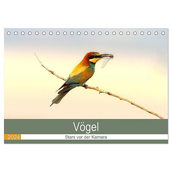 Vögel Stars vor der Kamera (Tischkalender 2024 DIN A5 quer), CALVENDO Monatskalender, J R Bogner