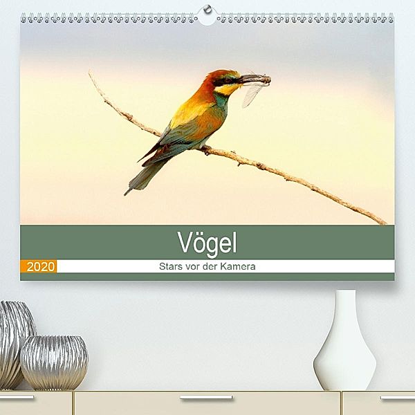 Vögel Stars vor der Kamera(Premium, hochwertiger DIN A2 Wandkalender 2020, Kunstdruck in Hochglanz), J R Bogner