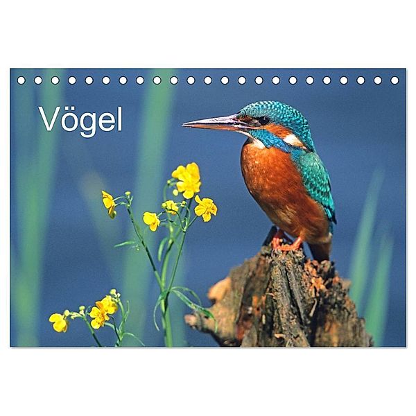 Vögel (Tischkalender 2024 DIN A5 quer), CALVENDO Monatskalender, McPHOTO