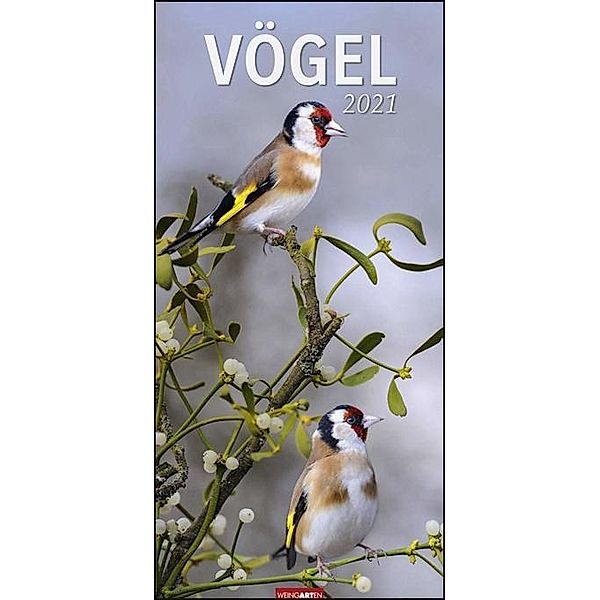 Vögel, Vertical 2020