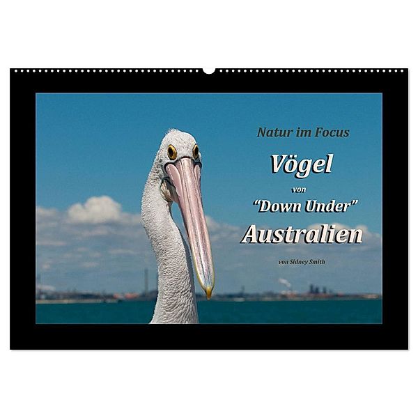 Vögel von Down Under Australien (Wandkalender 2024 DIN A2 quer), CALVENDO Monatskalender, Sidney Smith