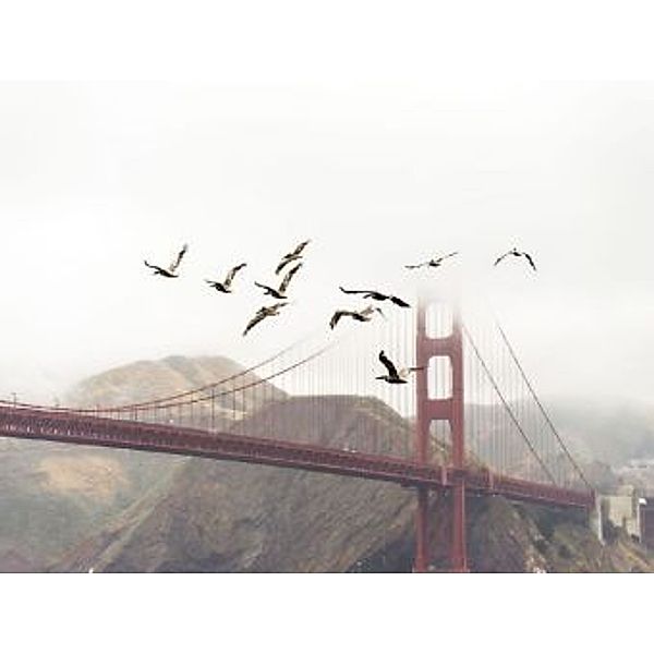 Vögel vor Golden Gate - 2.000 Teile (Puzzle)