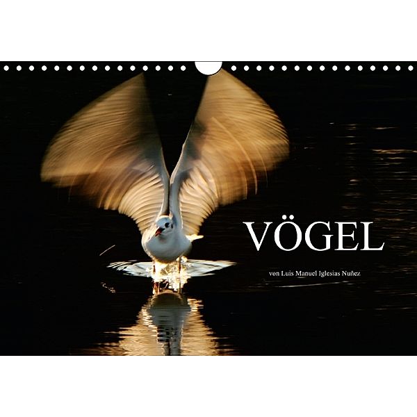 VÖGEL (Wandkalender 2014 DIN A4 quer), Luis Manuel Iglesias Nuñez