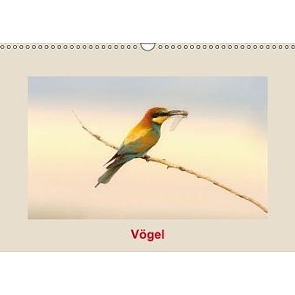 Vögel (Wandkalender 2015 DIN A3 quer), Johann Rudolf Bogner