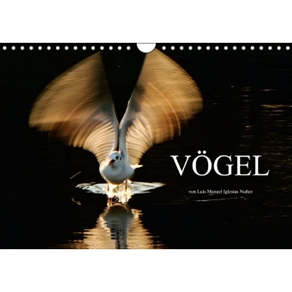 VÖGEL (Wandkalender 2015 DIN A4 quer), Luis Manuel Iglesias Nuñez