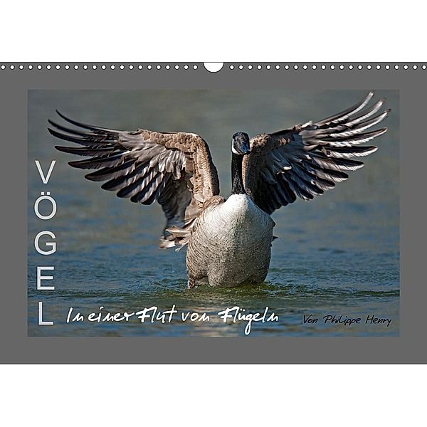 VÖGEL (Wandkalender 2020 DIN A3 quer), Philippe Henry