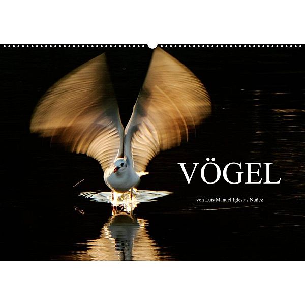 VÖGEL (Wandkalender 2023 DIN A2 quer), Luis Manuel Iglesias Nuñez