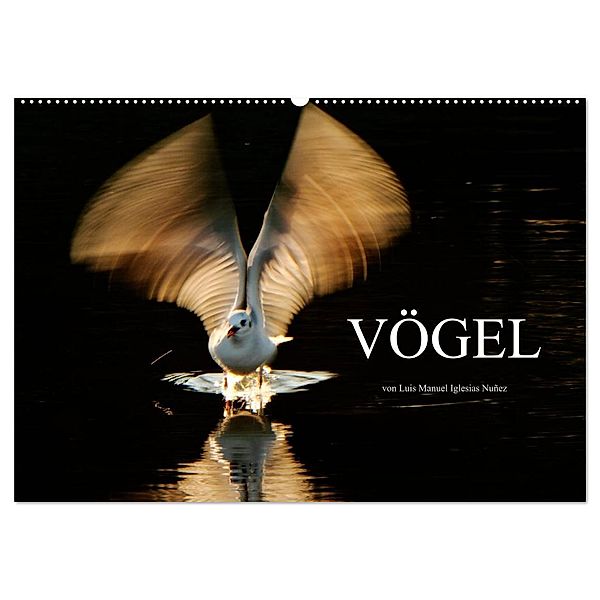 VÖGEL (Wandkalender 2024 DIN A2 quer), CALVENDO Monatskalender, Luis Manuel Iglesias Nuñez