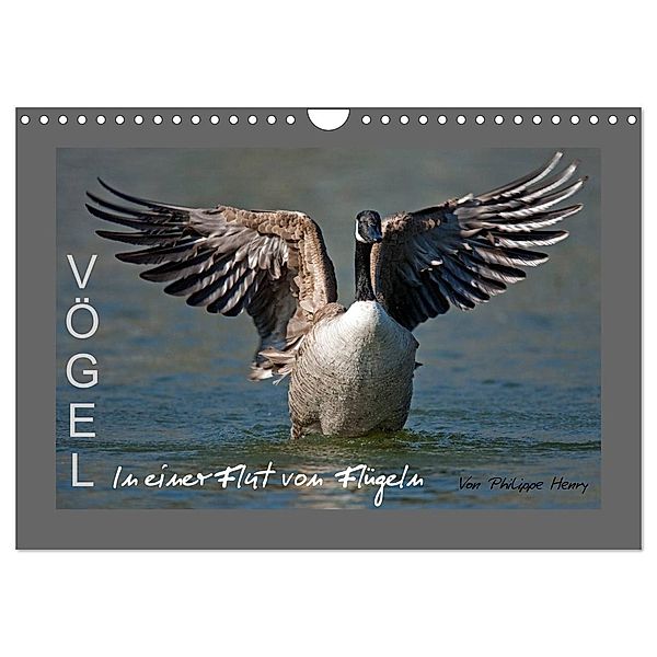 VÖGEL (Wandkalender 2024 DIN A4 quer), CALVENDO Monatskalender, Philippe Henry