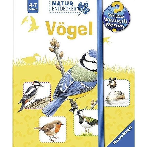 Vögel / Wieso? Weshalb? Warum? Natur-Entdecker Bd.8, Angelika Lenz, Steffen Walentowitz