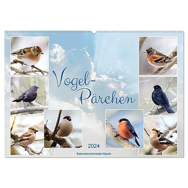 Vogel-Pärchen (Wandkalender 2024 DIN A2 quer), CALVENDO Monatskalender, Sabine Löwer