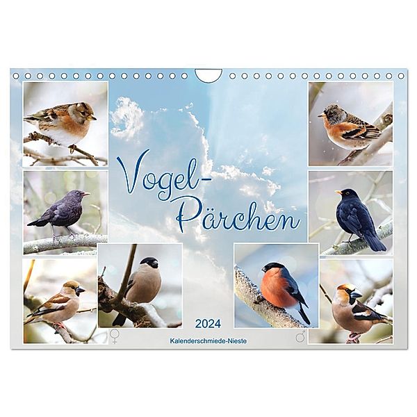 Vogel-Pärchen (Wandkalender 2024 DIN A4 quer), CALVENDO Monatskalender, Sabine Löwer
