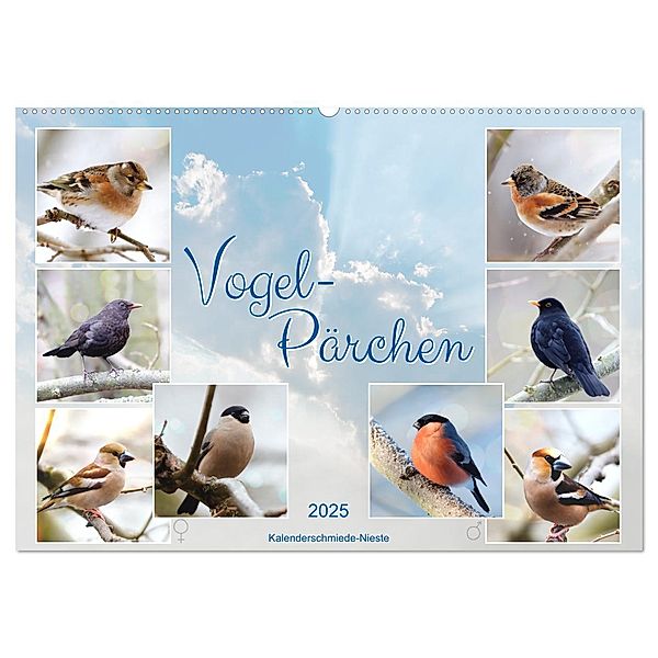 Vogel-Pärchen (Wandkalender 2025 DIN A2 quer), CALVENDO Monatskalender, Calvendo, Sabine Löwer