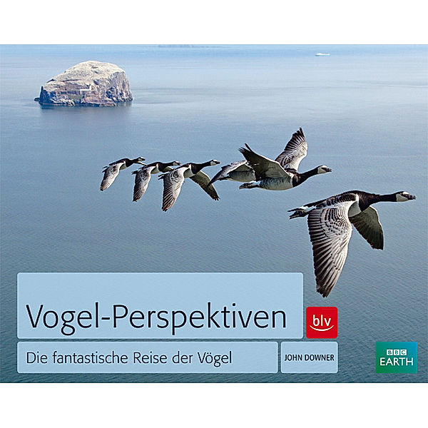 Vogel-Perspektiven, John Downer