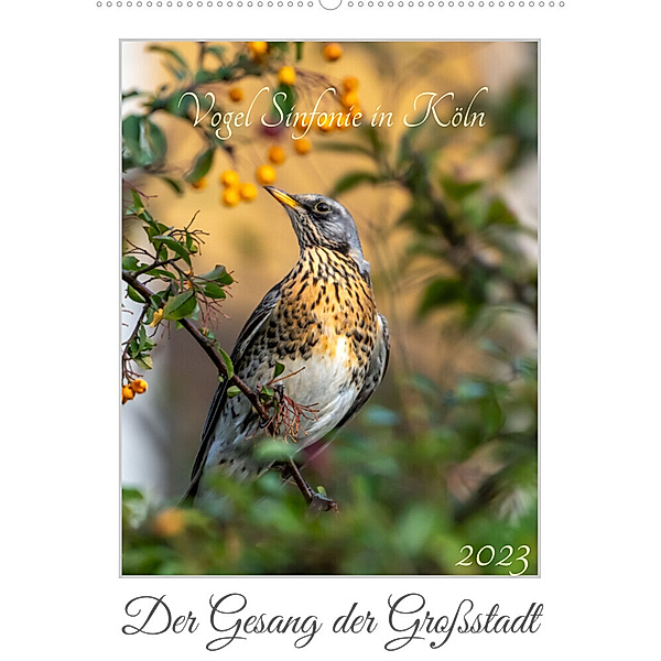 Vogel Sinfonie in Köln (Wandkalender 2023 DIN A2 hoch), Antje Rosenthal