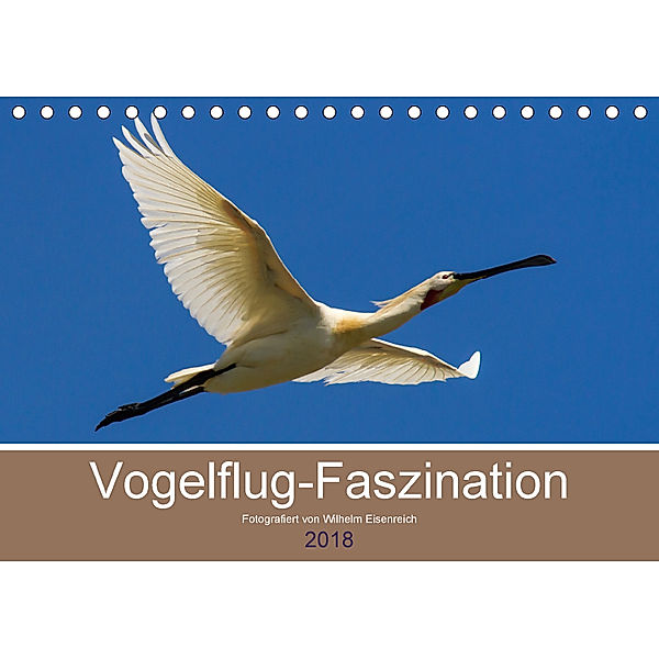 Vogelflug-Faszination (Tischkalender 2018 DIN A5 quer), Wilhelm Eisenreich