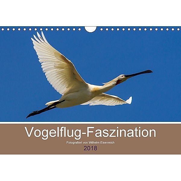 Vogelflug-Faszination (Wandkalender 2018 DIN A4 quer), Wilhelm Eisenreich