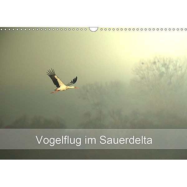 Vogelflug im Sauerdelta (Wandkalender 2020 DIN A3 quer), Bruno Pohl