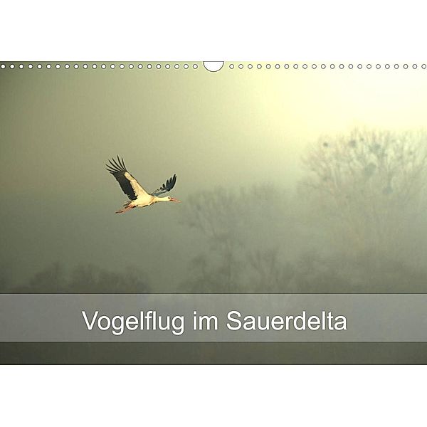 Vogelflug im Sauerdelta (Wandkalender 2023 DIN A3 quer), Bruno Pohl