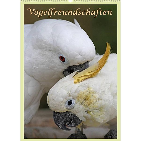 Vogelfreundschaften / Planer (Wandkalender 2023 DIN A2 hoch), Antje Lindert-Rottke