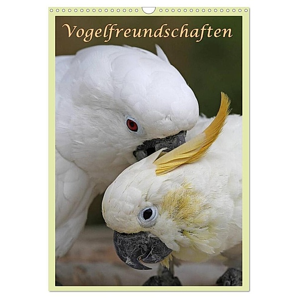 Vogelfreundschaften / Planer (Wandkalender 2024 DIN A3 hoch), CALVENDO Monatskalender, Antje Lindert-Rottke