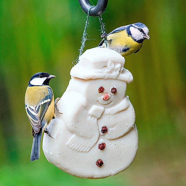 Vogelfutter-Schneemann Nasch-mich