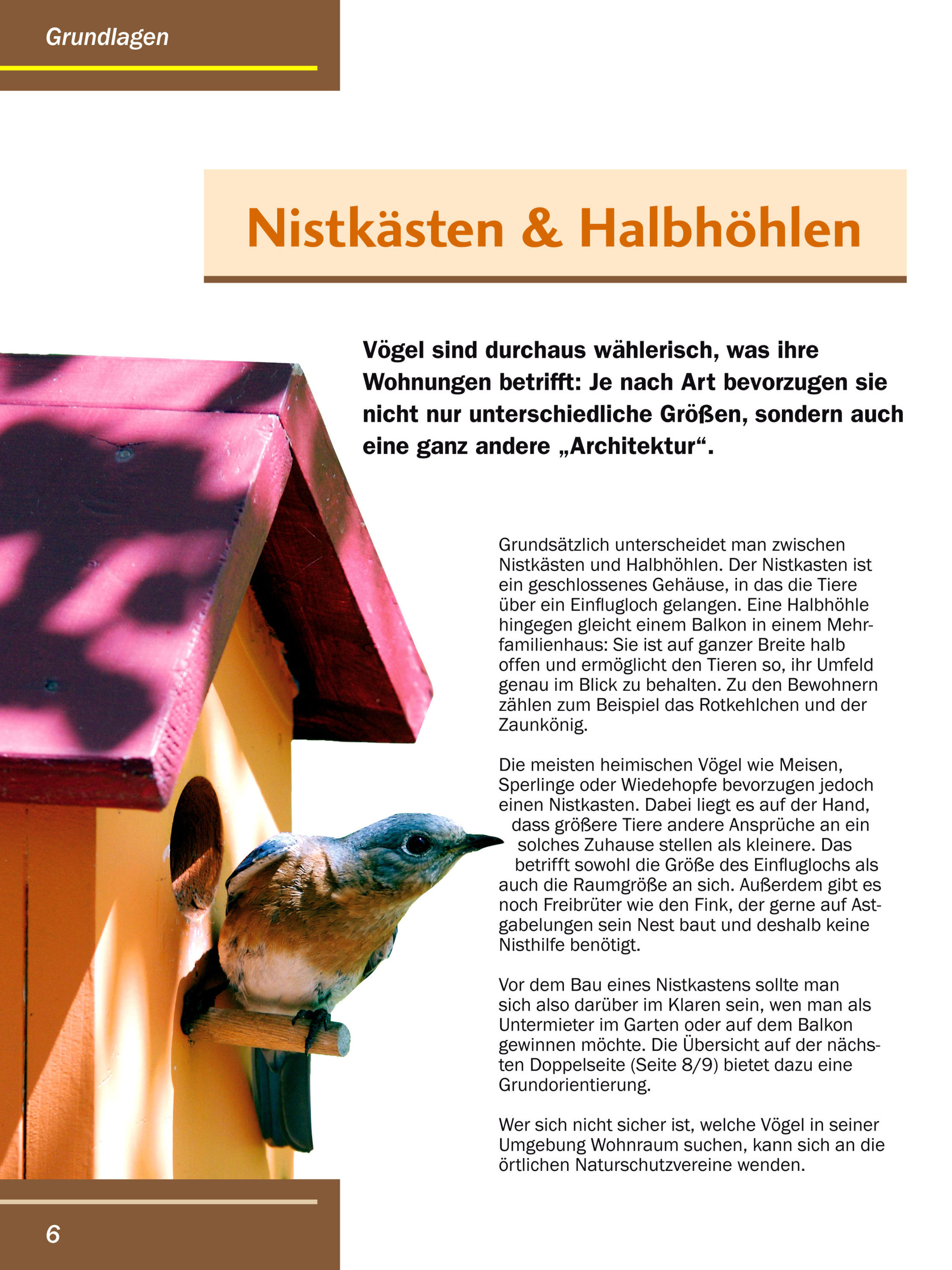 Vogelhäuschen Buch als Weltbild-Ausgabe günstig bestellen