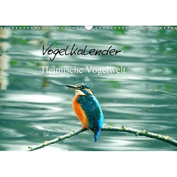 Vogelkalender (Wandkalender 2020 DIN A3 quer)
