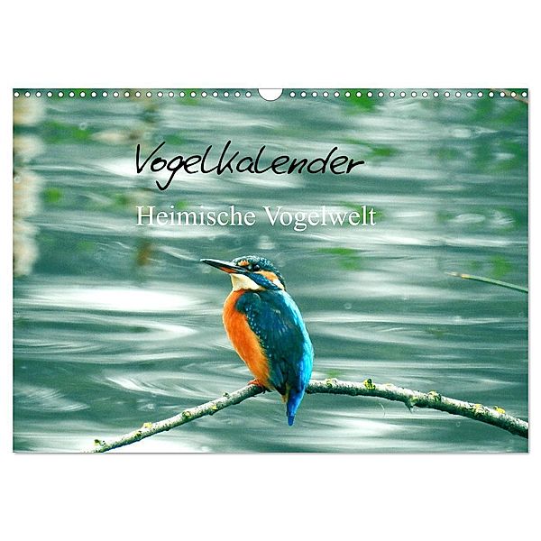Vogelkalender (Wandkalender 2024 DIN A3 quer), CALVENDO Monatskalender, Fofino
