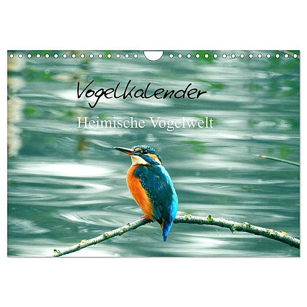 Vogelkalender (Wandkalender 2025 DIN A4 quer), CALVENDO Monatskalender, Calvendo, Fofino