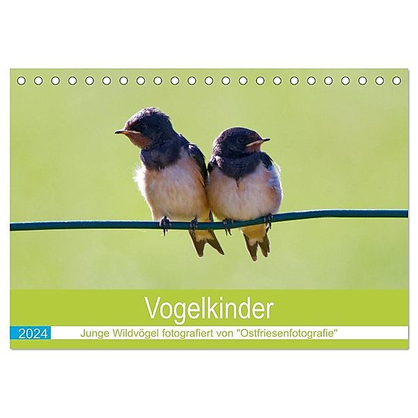 Vogelkinder - Junge Wildvögel (Tischkalender 2024 DIN A5 quer), CALVENDO Monatskalender, Christina Betten - Ostfriesenfotografie
