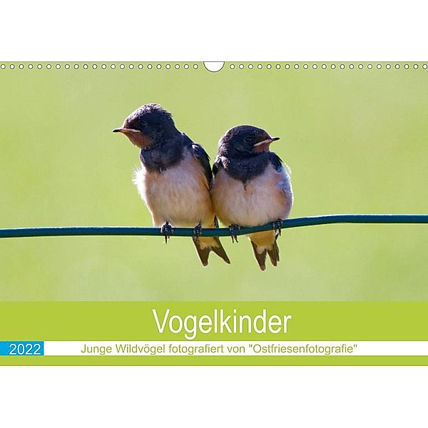 Vogelkinder - Junge Wildvögel (Wandkalender 2022 DIN A3 quer), Christina Betten - Ostfriesenfotografie