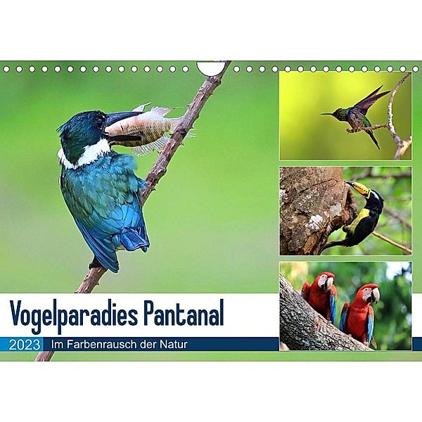 Vogelparadies Pantanal (Wandkalender 2023 DIN A4 quer), Yvonne und Michael Herzog