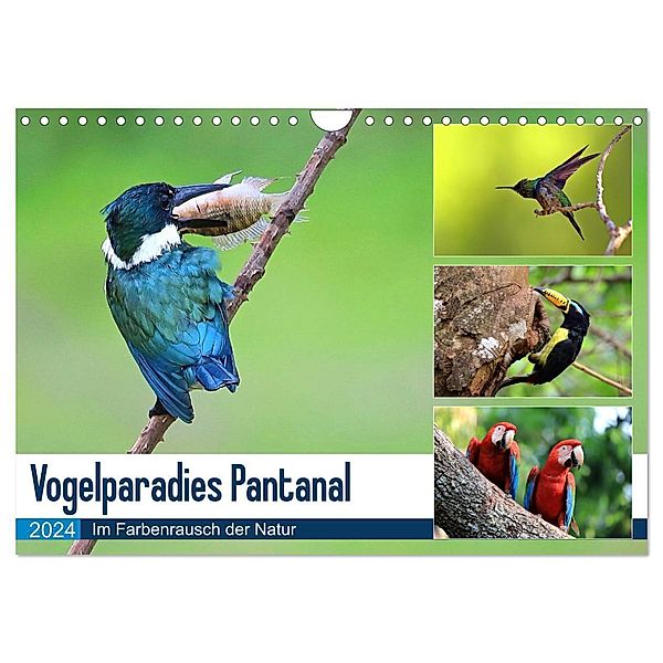 Vogelparadies Pantanal (Wandkalender 2024 DIN A4 quer), CALVENDO Monatskalender, Yvonne und Michael Herzog