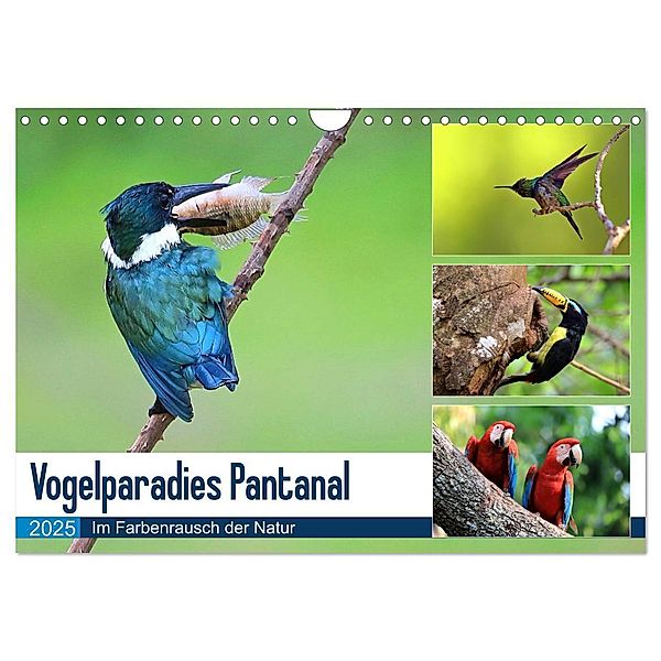 Vogelparadies Pantanal (Wandkalender 2025 DIN A4 quer), CALVENDO Monatskalender, Calvendo, Yvonne und Michael Herzog