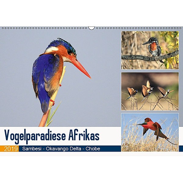 Vogelparadiese Afrikas - Sambesi, Okavango Delta, Chobe (Wandkalender 2019 DIN A2 quer), Michael Herzog