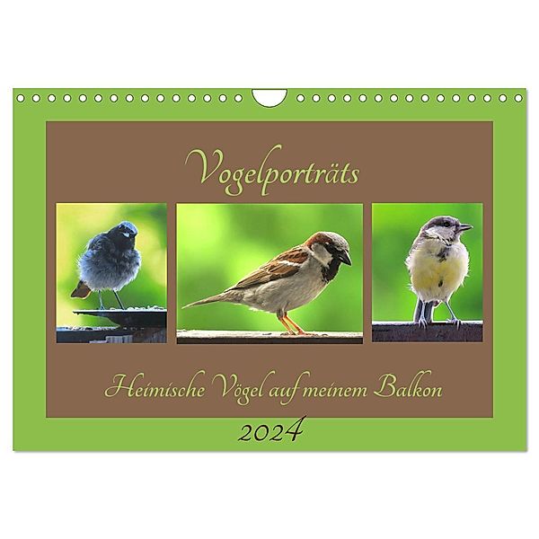 Vogelporträts - Heimische Vögel auf meinem Balkon (Wandkalender 2024 DIN A4 quer), CALVENDO Monatskalender, Claudia Schimmack