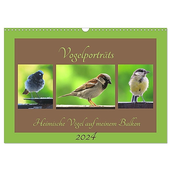 Vogelporträts - Heimische Vögel auf meinem Balkon (Wandkalender 2024 DIN A3 quer), CALVENDO Monatskalender, Claudia Schimmack