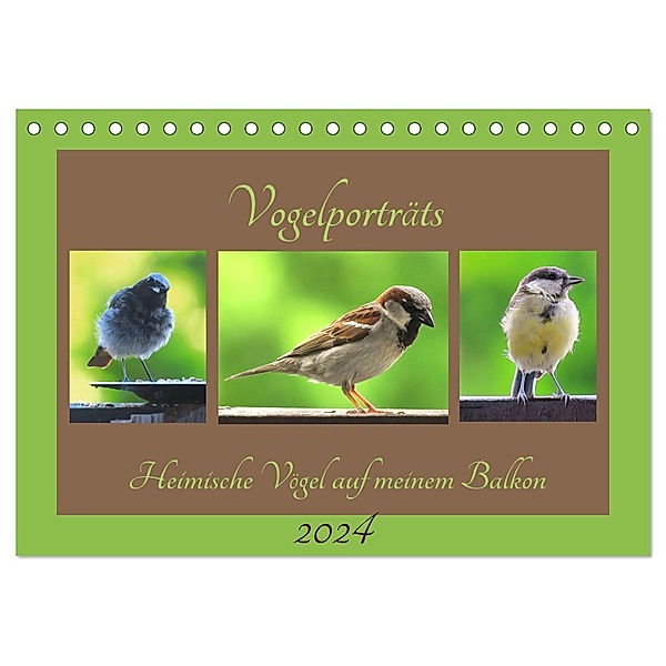 Vogelporträts - Heimische Vögel auf meinem Balkon (Tischkalender 2024 DIN A5 quer), CALVENDO Monatskalender, Claudia Schimmack