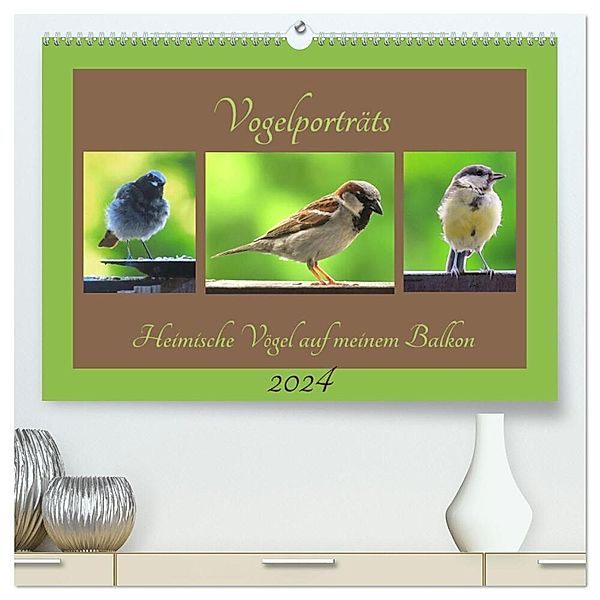 Vogelporträts - Heimische Vögel auf meinem Balkon (hochwertiger Premium Wandkalender 2024 DIN A2 quer), Kunstdruck in Hochglanz, Claudia Schimmack